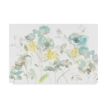 Danhui Nai 'Aqua Roses Shadows' Canvas Art,16x24